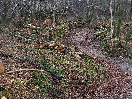 Glencoe Greenway